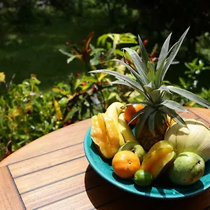 Le Talisman Appartement